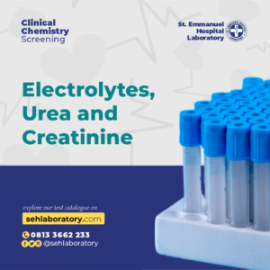 Electrolytes, Urea and Creatinine