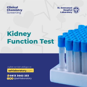 Kidney Function Test