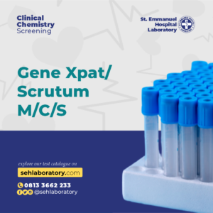 Gene Xpat/Scrutum M/C/S