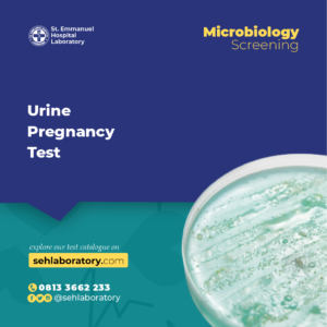Urine Pregnancy Test